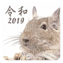 令和2019► DEGU ►   Rodents