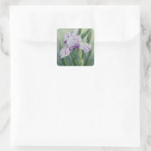 Sticker Carré 0440 Iris Violet (Sac)