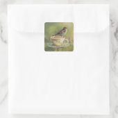Sticker Carré 0470 Bruant (Sac)