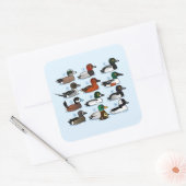 Sticker Carré 12 Canards (Enveloppe)