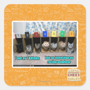 Sticker Carré 7 out ov 7 kittehs