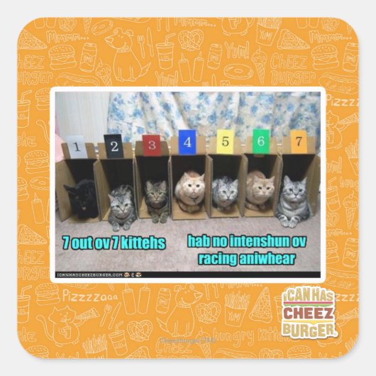 Sticker Carré 7 out ov 7 kittehs (Devant)