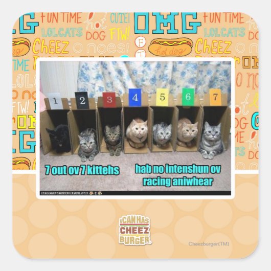 Sticker Carré 7 out ov 7 kittehs (Devant)