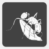 Sticker Carré 🐜 À La Fourmi (Devant)