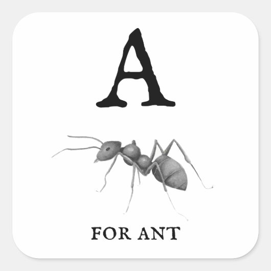 Sticker Carré "A" pour Ant (Devant)