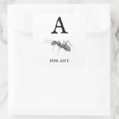Sticker Carré "A" pour Ant (Sac)