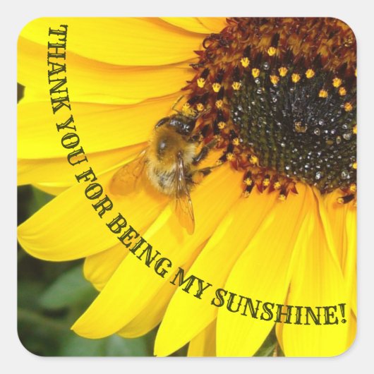 Sticker Carré Abeille sur tournesol Vous êtes mon soleil (Devant)