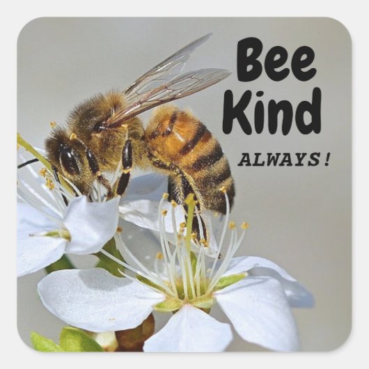 Sticker Carré Abeille Toujours ! (Devant)