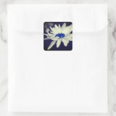 Sticker Carré Abstrait Daisy Blue Center Flower Art (Sac)