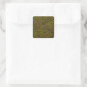 Sticker Carré Abstrait et fragile vert (Sac)