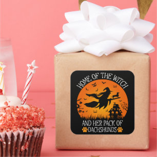 Sticker Carré Accueil De La Sorcière Et Son Pack De Cool Dachshu