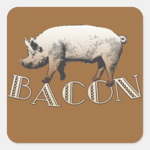 Sticker Carré Acrobat BACON Pig
