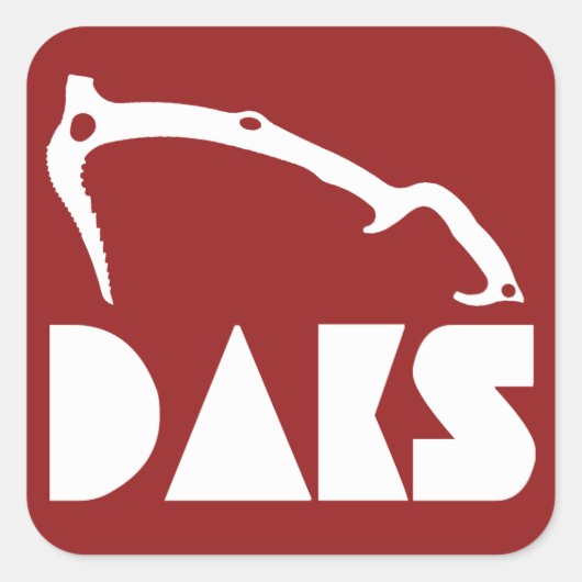 Sticker Carré Adirondacks Ice Escalade (Devant)