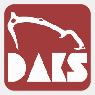 Sticker Carré Adirondacks Ice Escalade