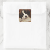 Sticker Carré Adorable et doux St. Bernard Puppy (Sac)