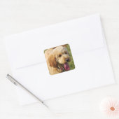Sticker Carré Adorable Goldendoodle Chien (Enveloppe)