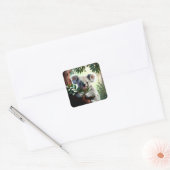 Sticker Carré Adorable Ours Koala (Enveloppe)