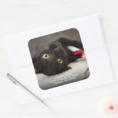 Sticker Carré Adresse de retour du chat noir mignon (Enveloppe)