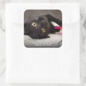 Sticker Carré Adresse de retour du chat noir mignon (Sac)