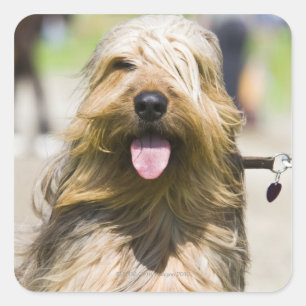 Sticker Carré affichage de langue, cheveux longs, portrait