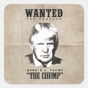 Sticker Carré Affiche de recherche de Trump - Trump le pigeon