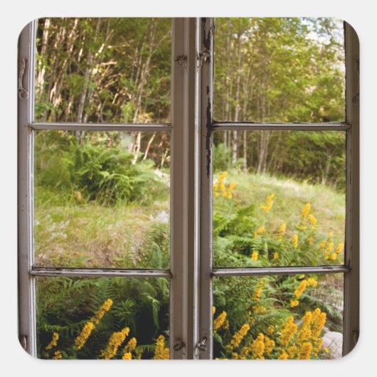 Sticker Carré Afficher par l'ancienne fenêtre (Devant)