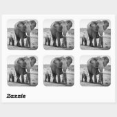 Sticker Carré African Elephant & Calves | Kenya (Feuille)