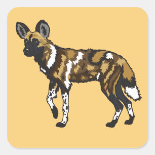Sticker Carré African wild dog Wild Africa