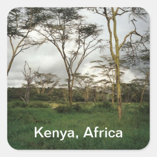 Sticker Carré Afrique Kenya terres sauvages