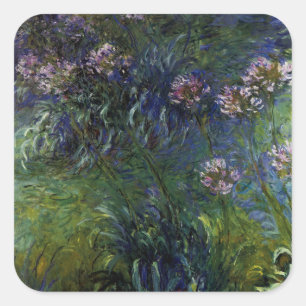 Sticker Carré Agapanthus