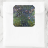 Sticker Carré Agapanthus (Sac)