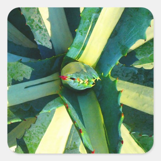 Sticker Carré Agave americana par Amy Vangsgard (Devant)