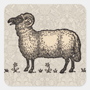 Sticker Carré Agneau de mouton Vintage animal de ferme