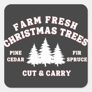 Sticker Carré Agritourisme Fraîches Arbres de Noël, Fêtes Fêtes