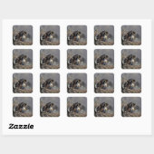 Sticker Carré Aigle avec son bébé (Feuille)