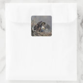 Sticker Carré Aigle avec son bébé (Sac)