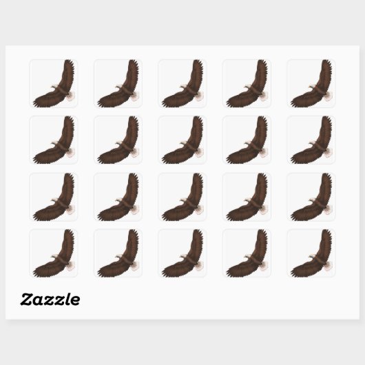 Sticker Carré Aigle chauve (Feuille)
