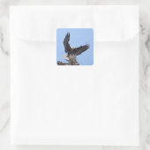 Sticker Carré Aigle (Haliaeetus leucocephalus) avec ailes (Sac)