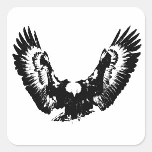 Sticker Carré Aigle noir et blanc