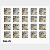 Sticker Carré Aile papillon (Feuille)