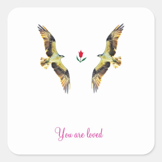 Sticker Carré Aimer les oiseaux. Ospreys (Devant)