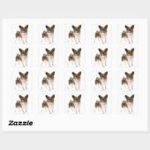 Sticker Carré Aimer Papillon Chien Chien Chien Chien Bonsoir, Ml (Feuille)