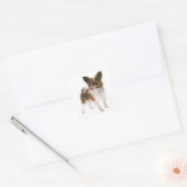 Sticker Carré Aimer Papillon Chien Chien Chien Chien Bonsoir, Ml (Enveloppe)
