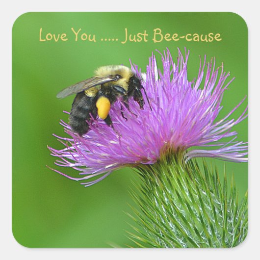 Sticker Carré Aimez-vous juste être cause (Devant)