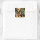 Sticker Carré Airedale Terrier Avec Chiot (Sac)