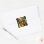 Sticker Carré Airedale Terrier Avec Chiot (Enveloppe)