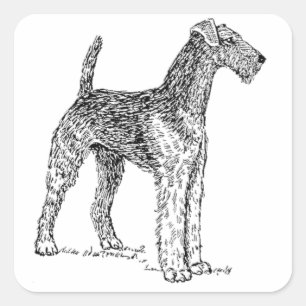 Sticker Carré Airedale Terrier Dessin de chien élégant
