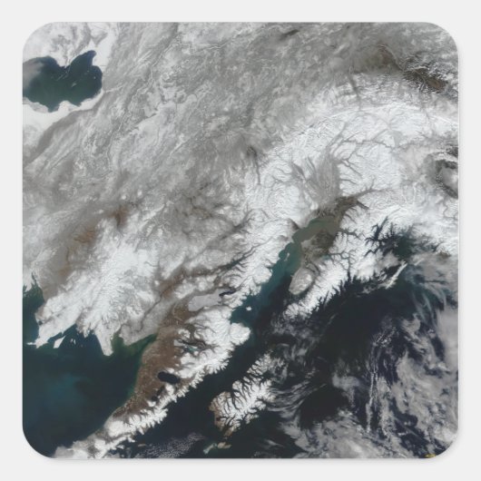 Sticker Carré Alaska (Devant)