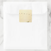 Sticker Carré Alaska 13 (Sac)