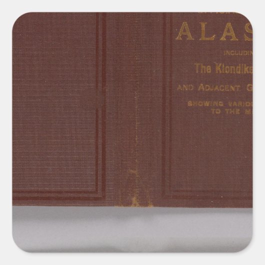 Sticker Carré Alaska 4 (Devant)